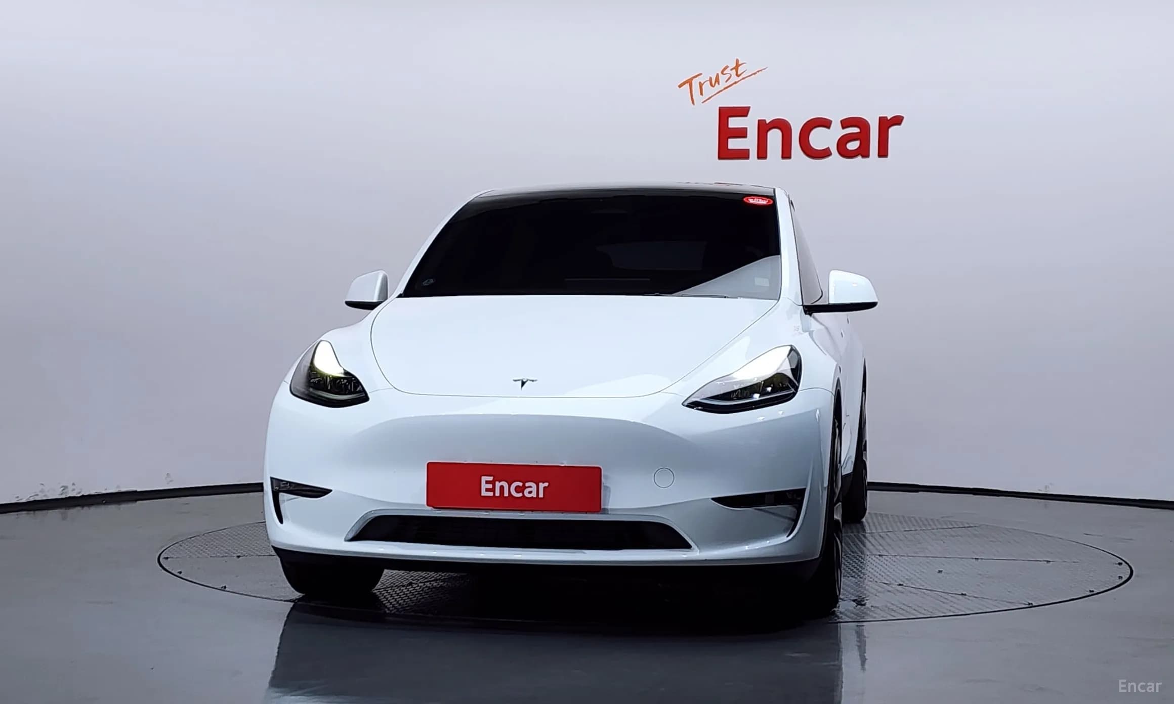 Model Y
