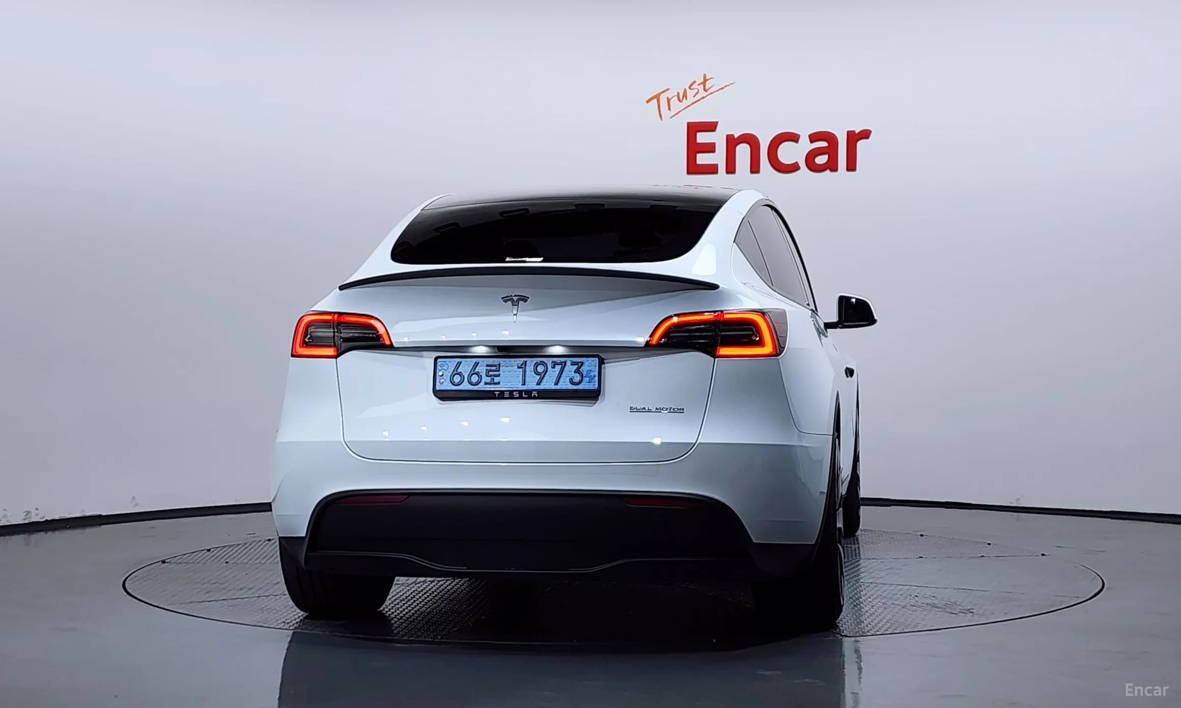 Model Y