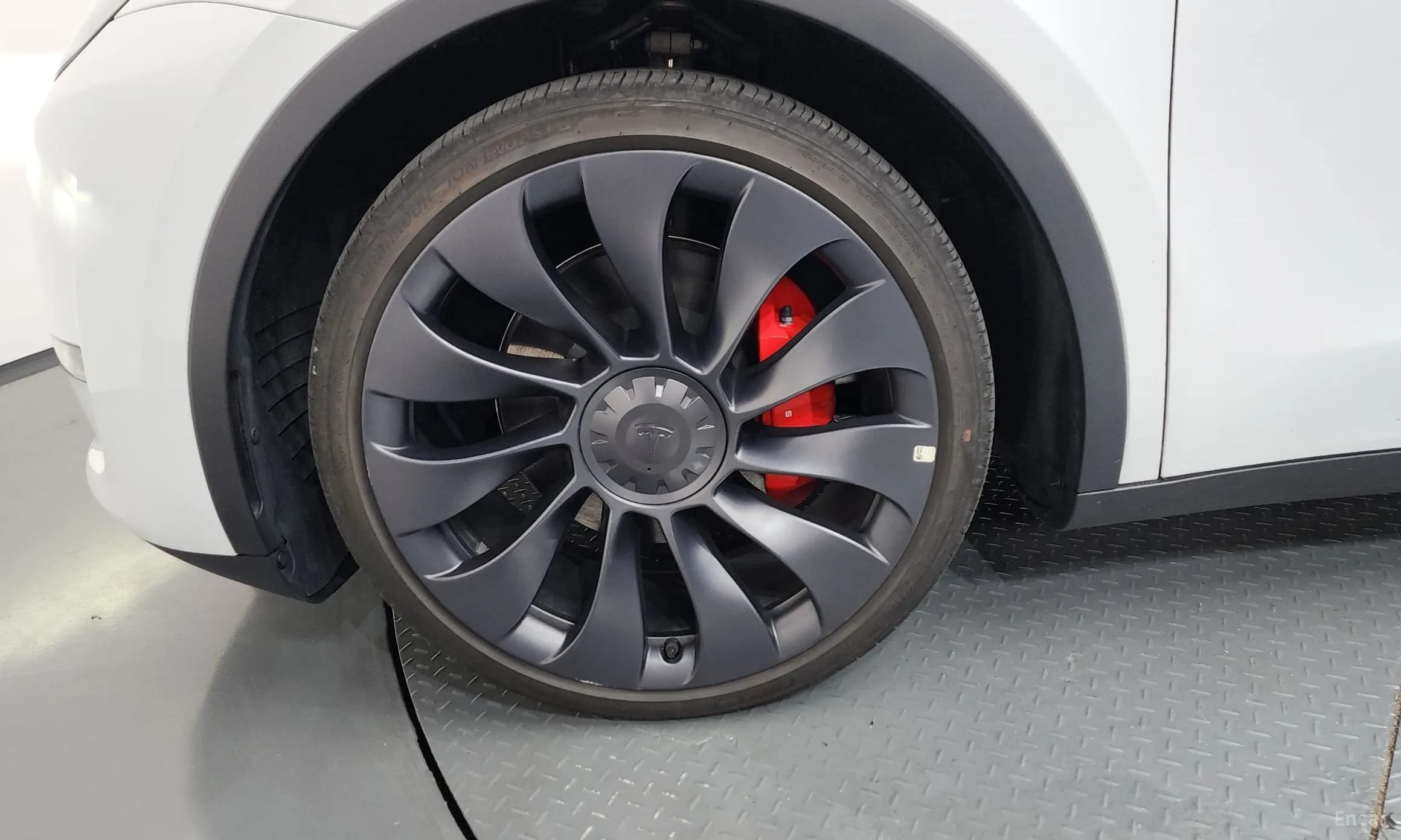 Model Y