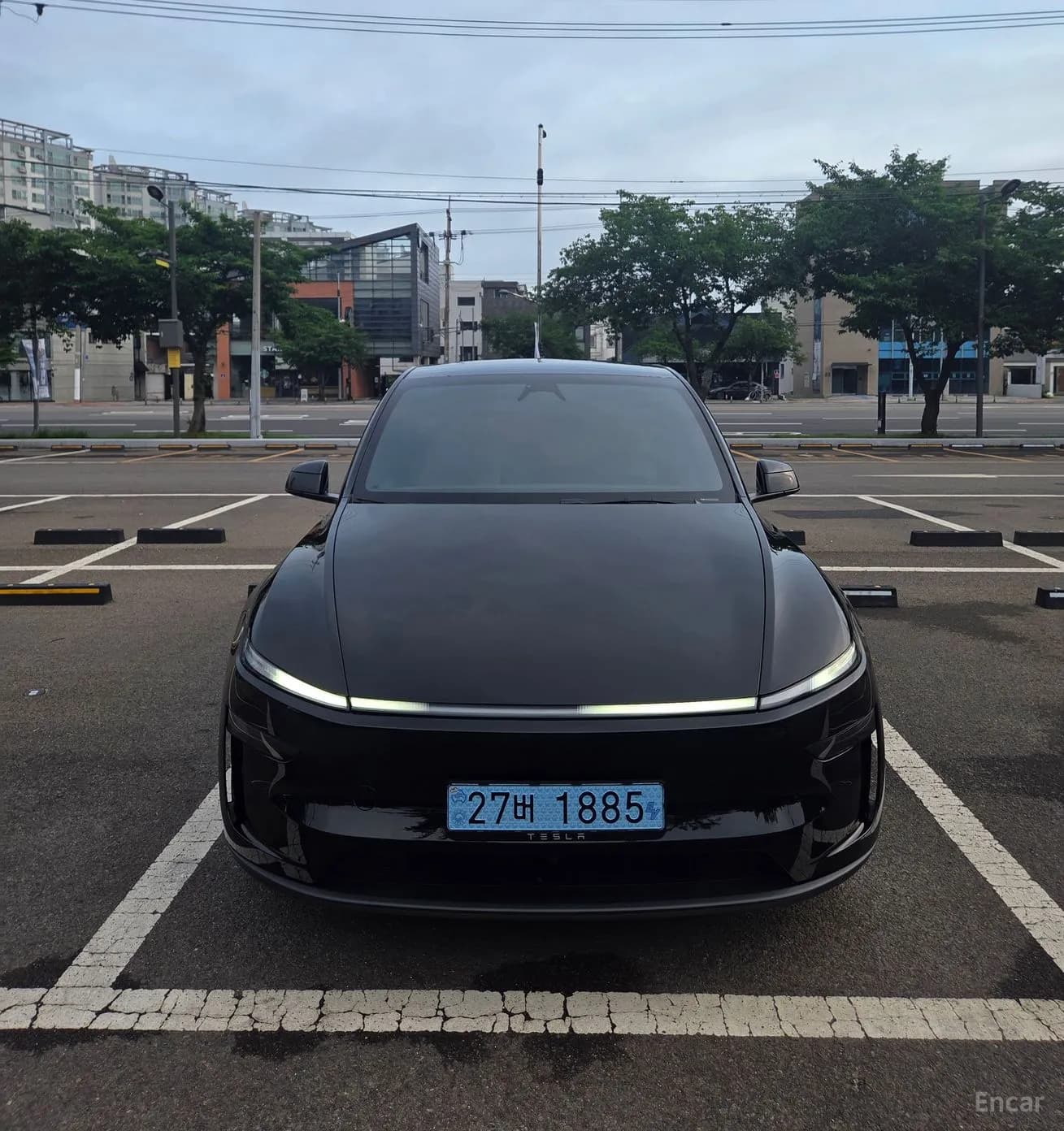 Model Y