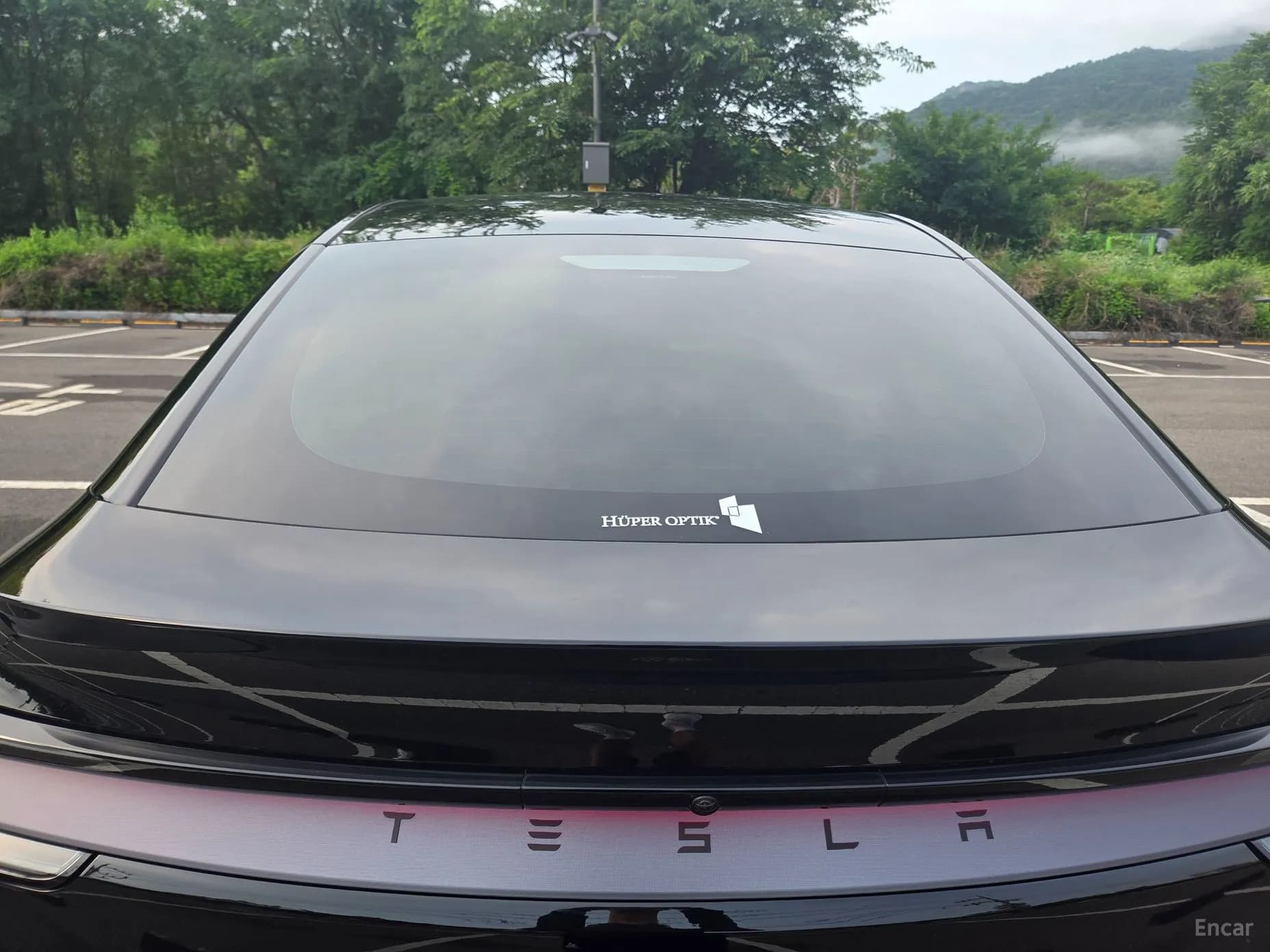 Model Y