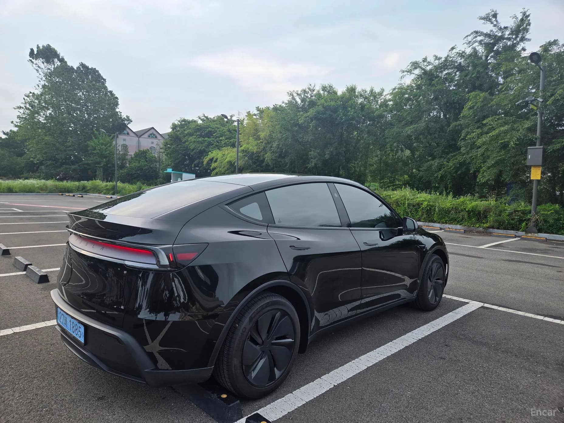 Model Y