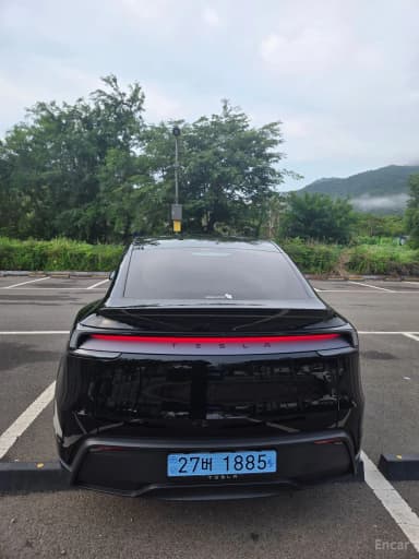 Model Y