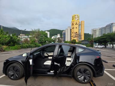 Model Y