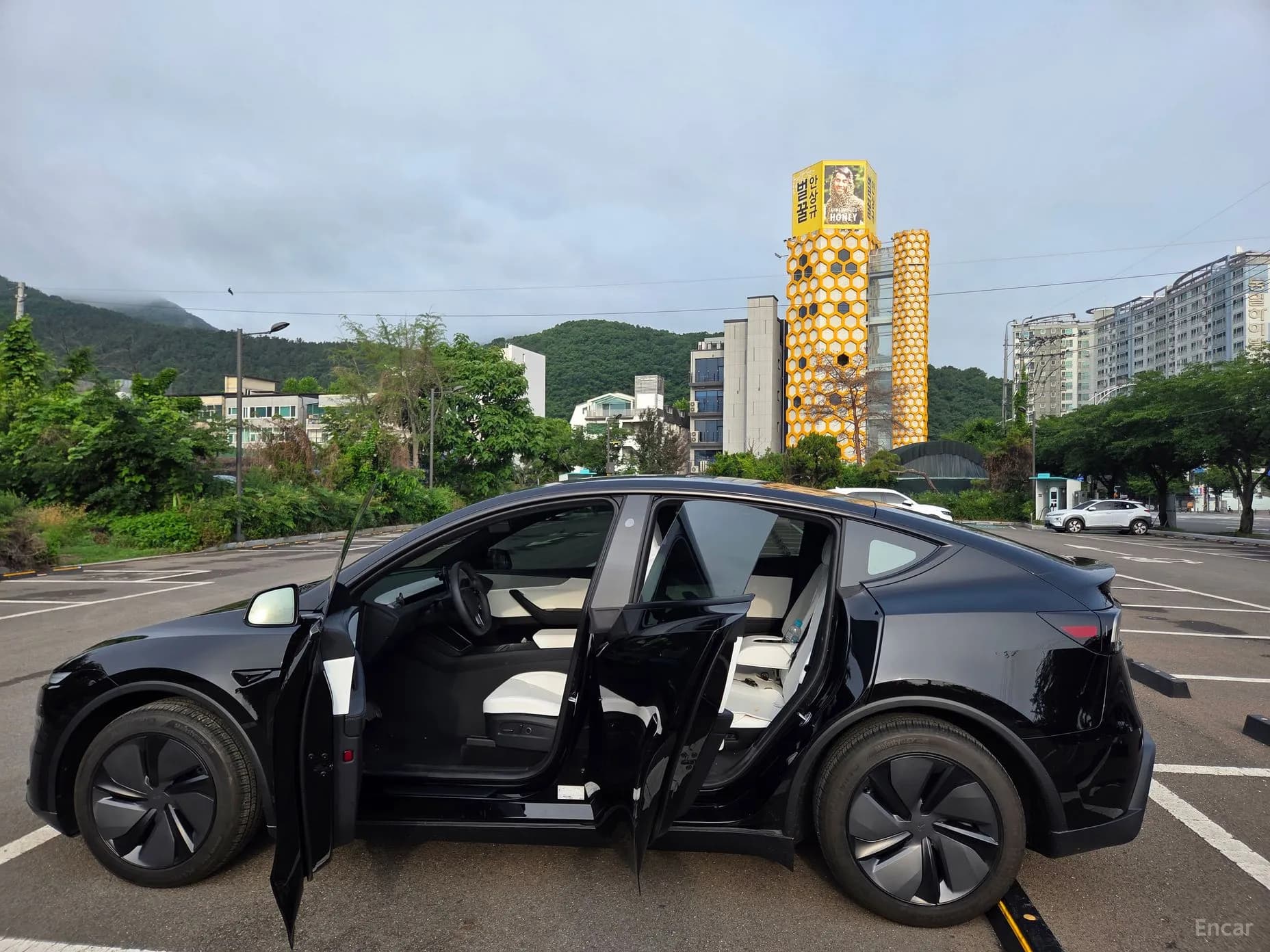Model Y