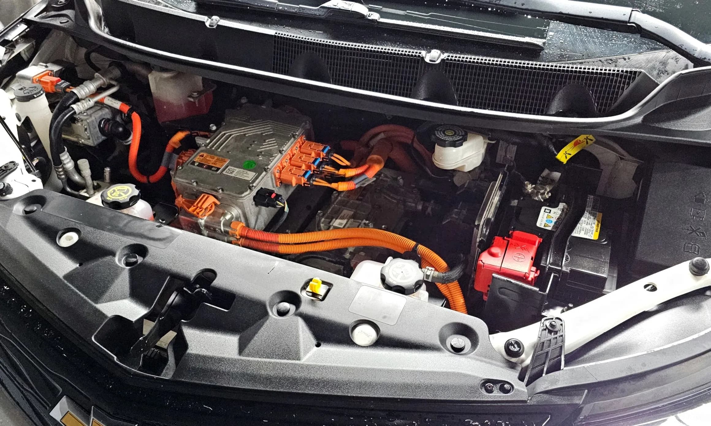 Bolt EV
