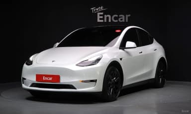 Model Y
