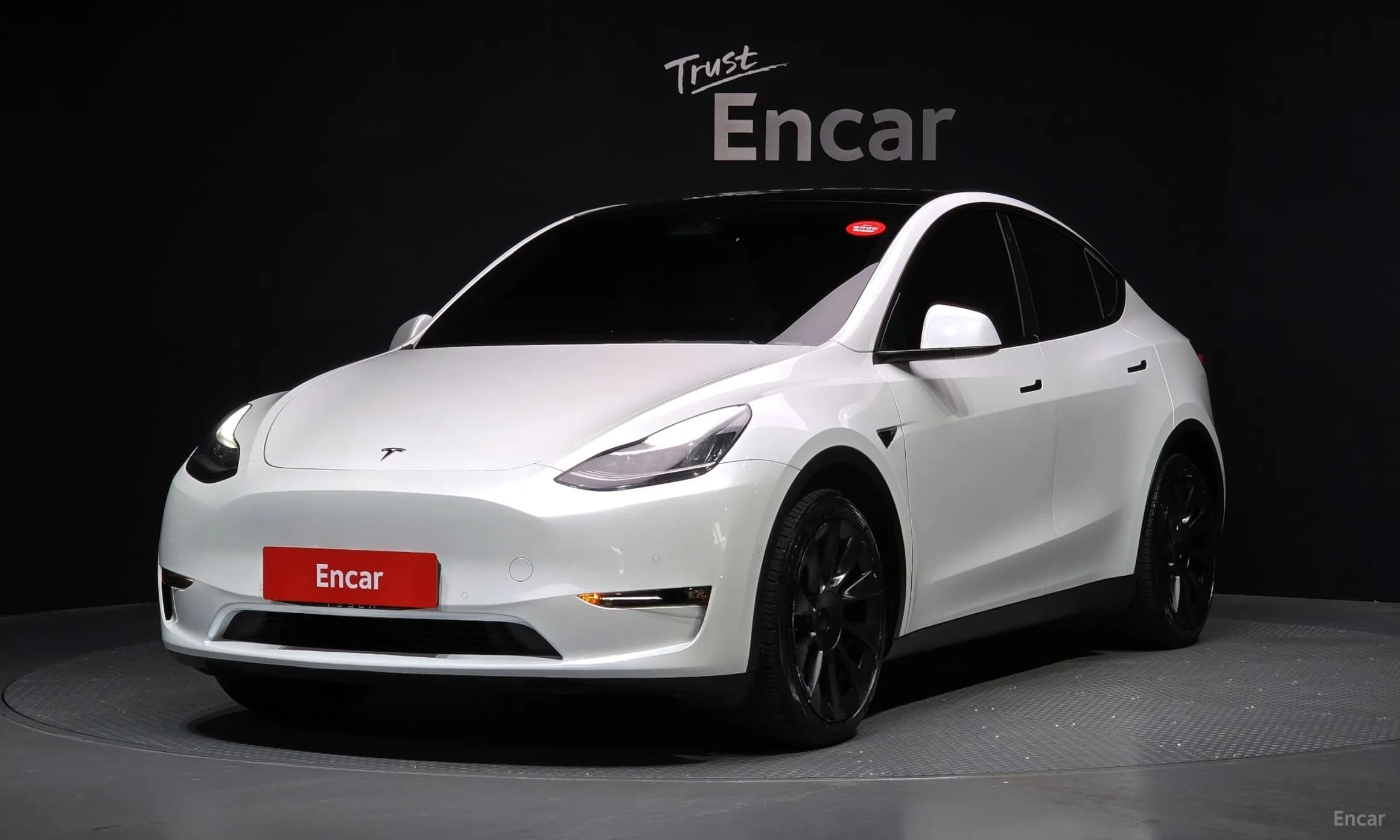 Model Y