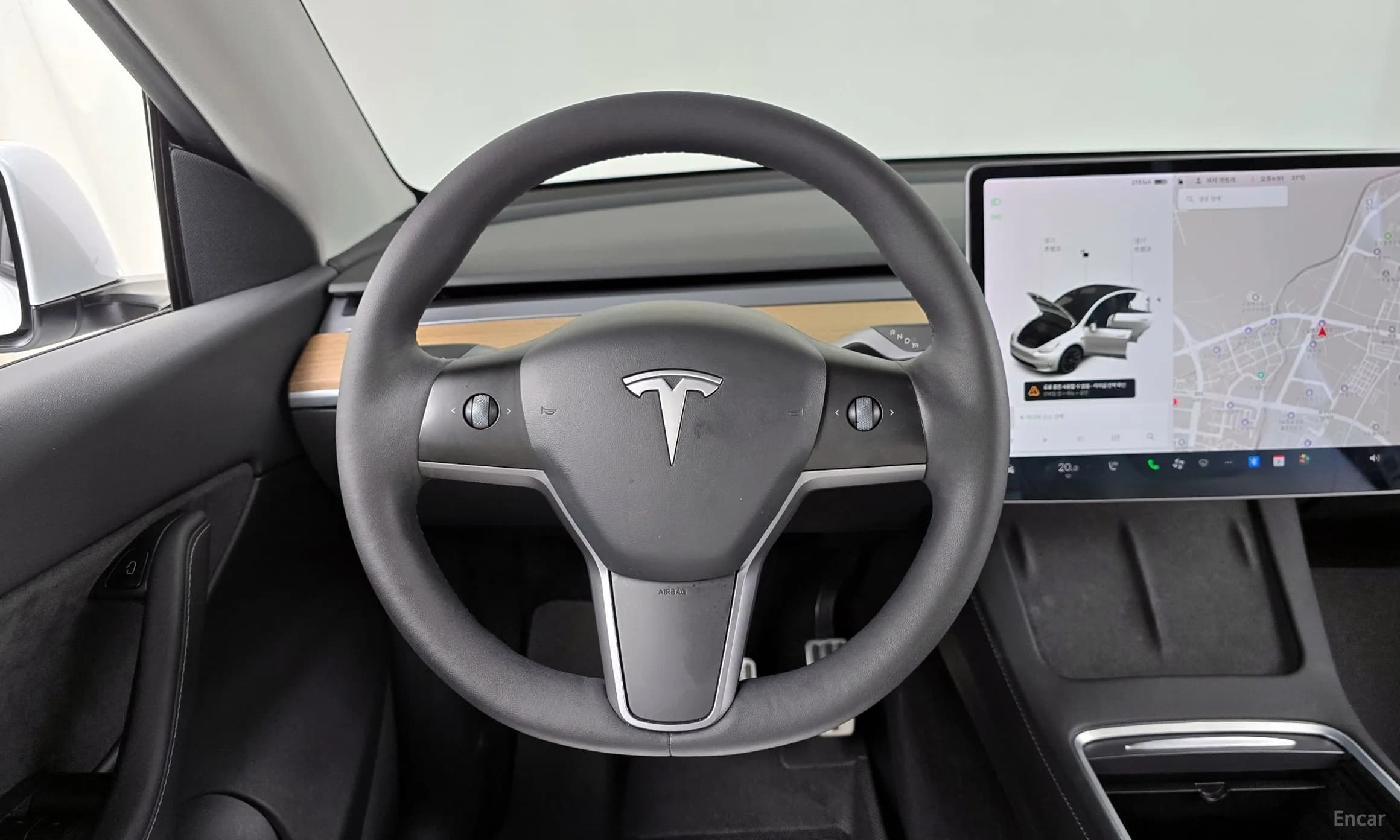 Model Y