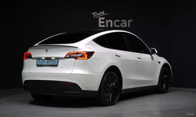 Model Y