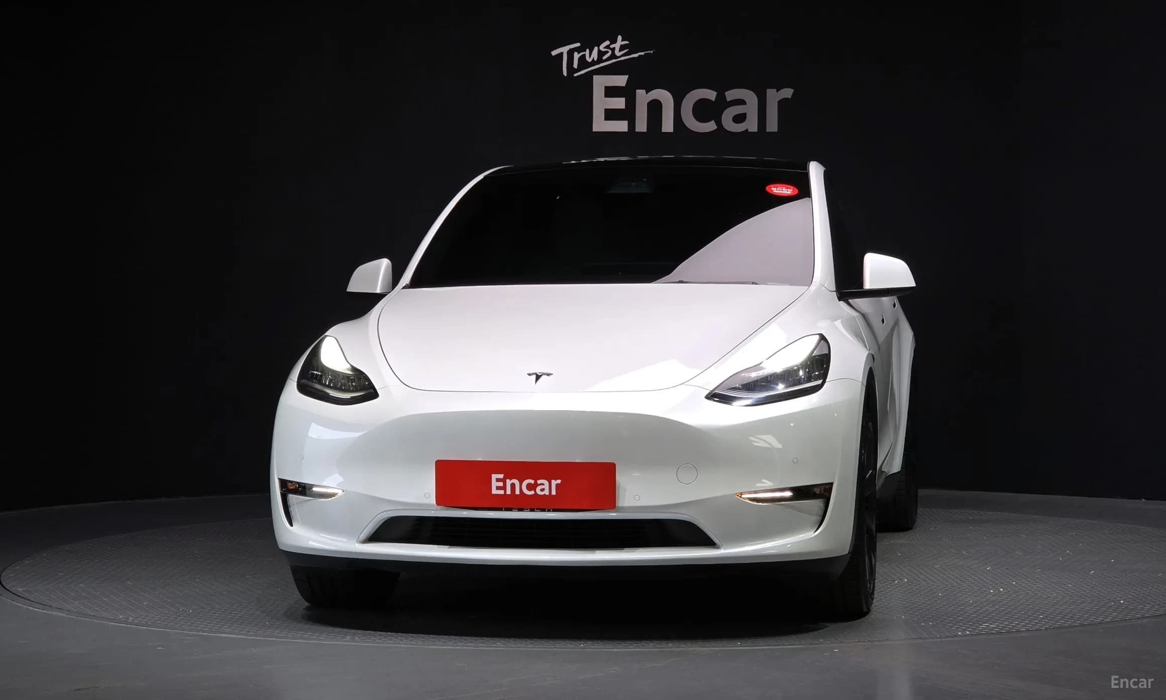 Model Y
