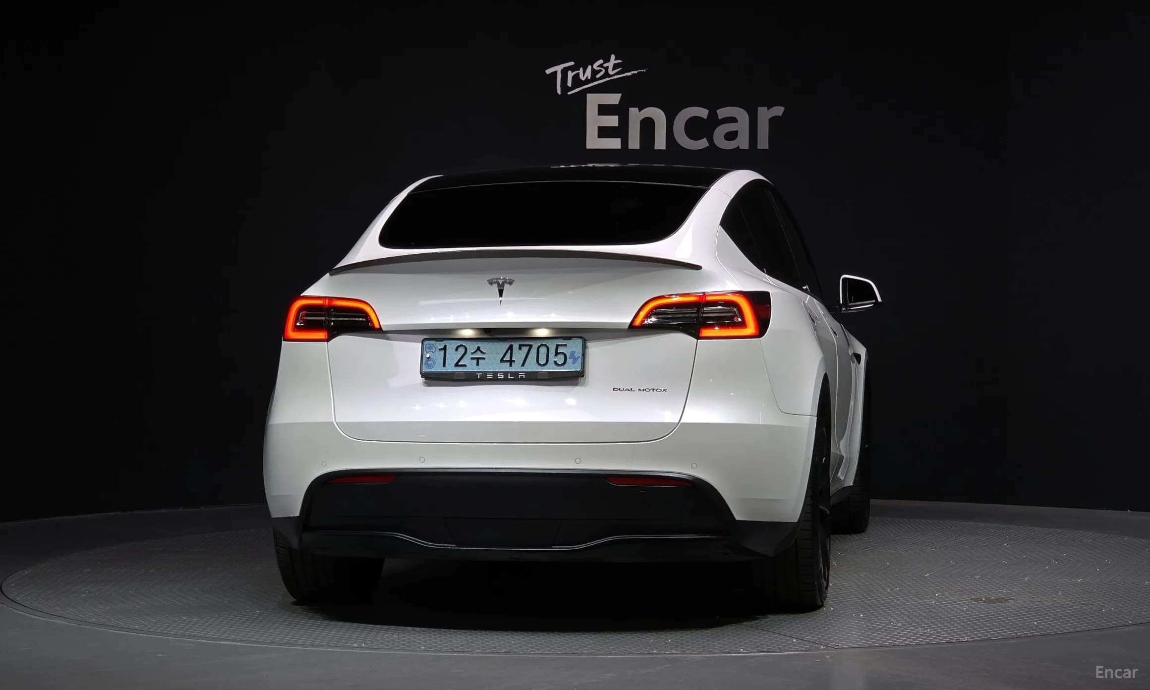 Model Y