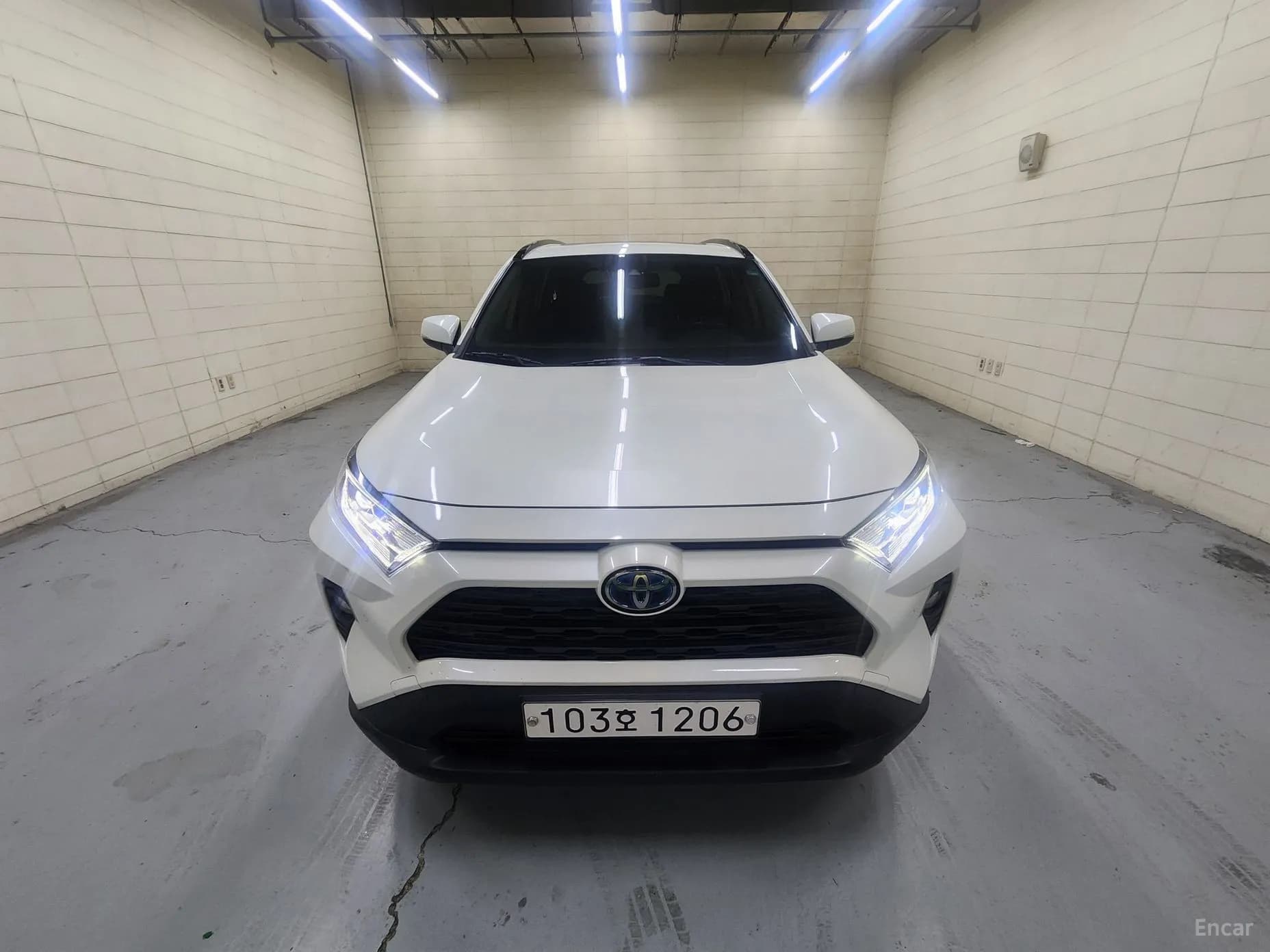 RAV4 5th Generation