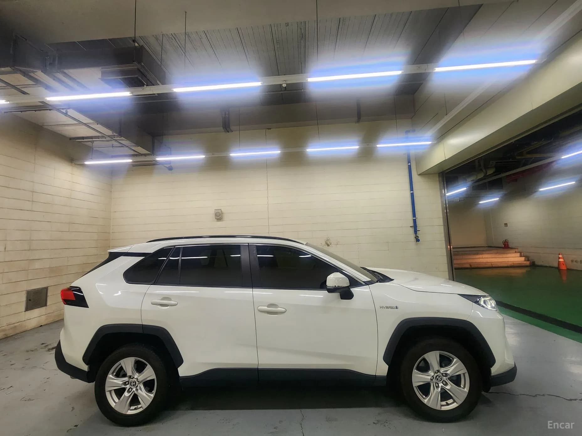 RAV4 5th Generation