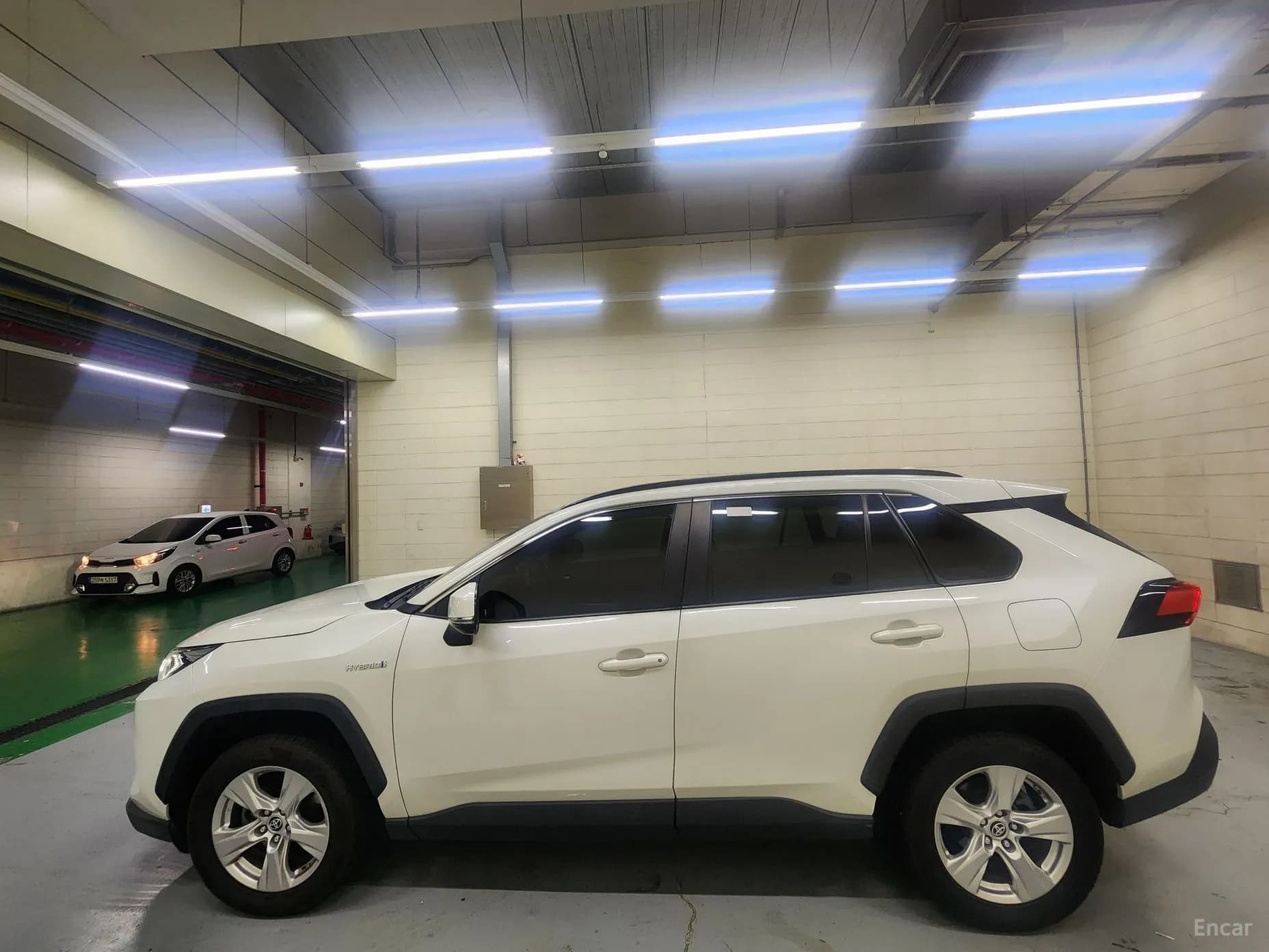 RAV4 5th Generation