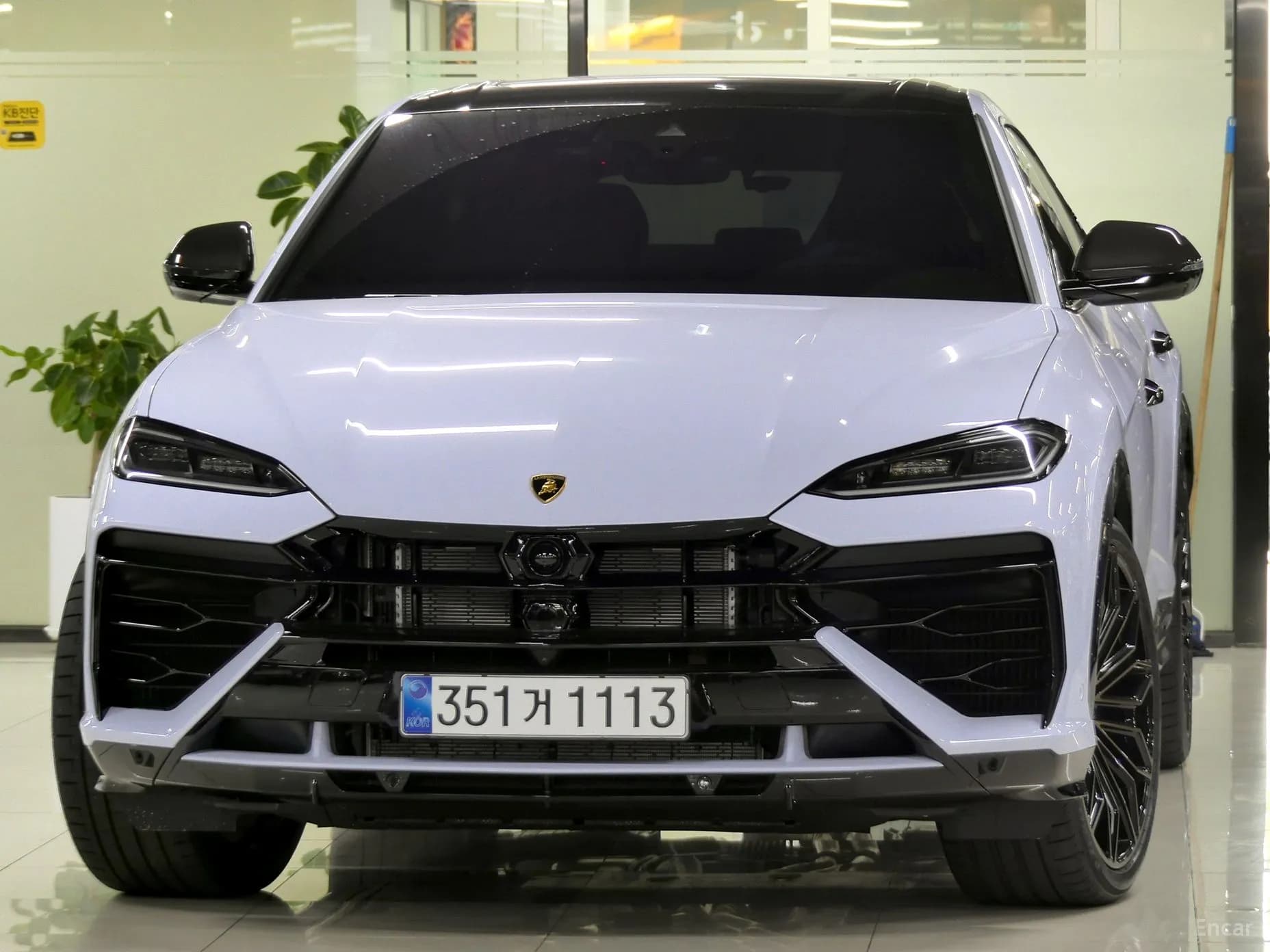 Urus