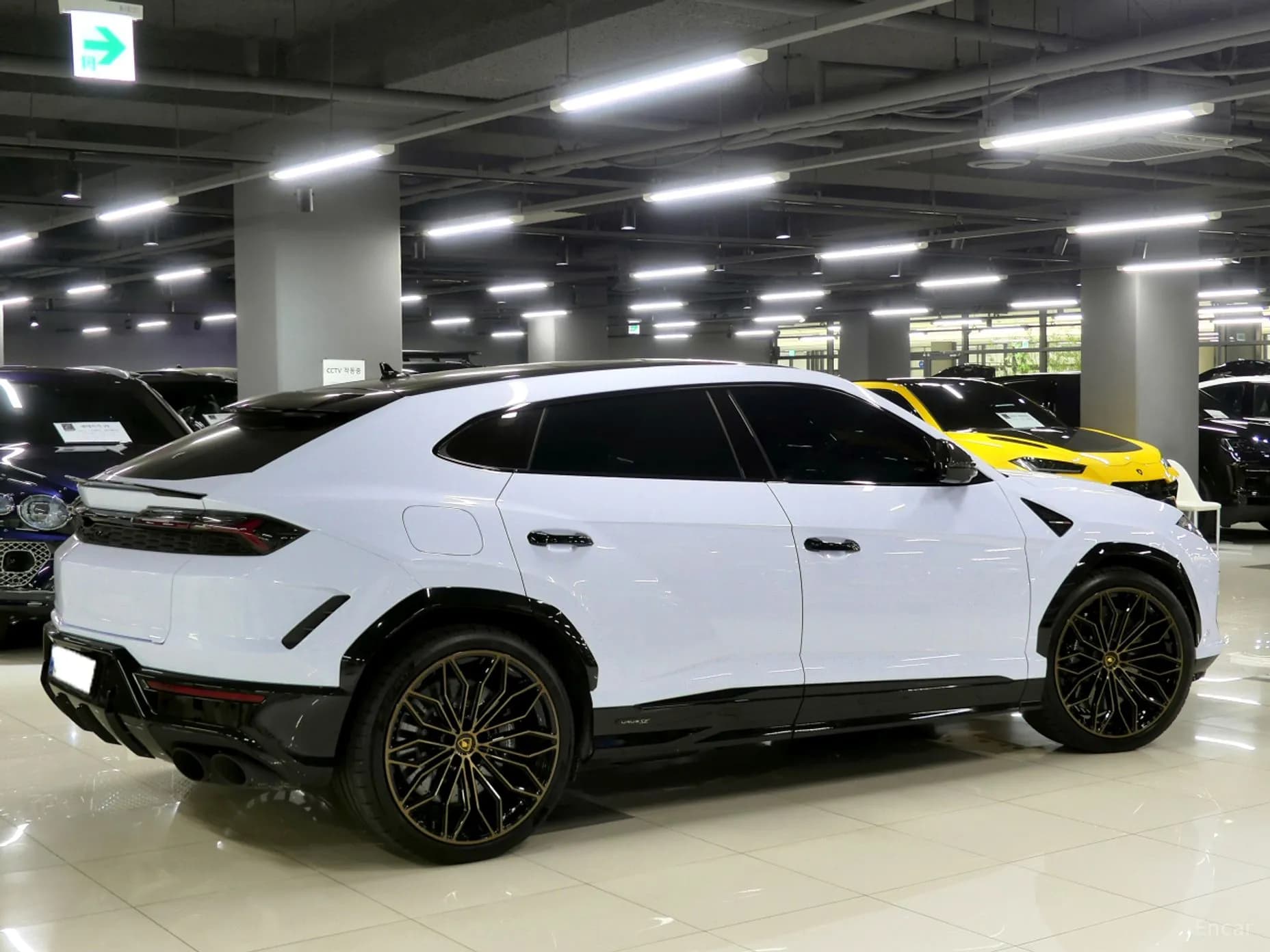Urus