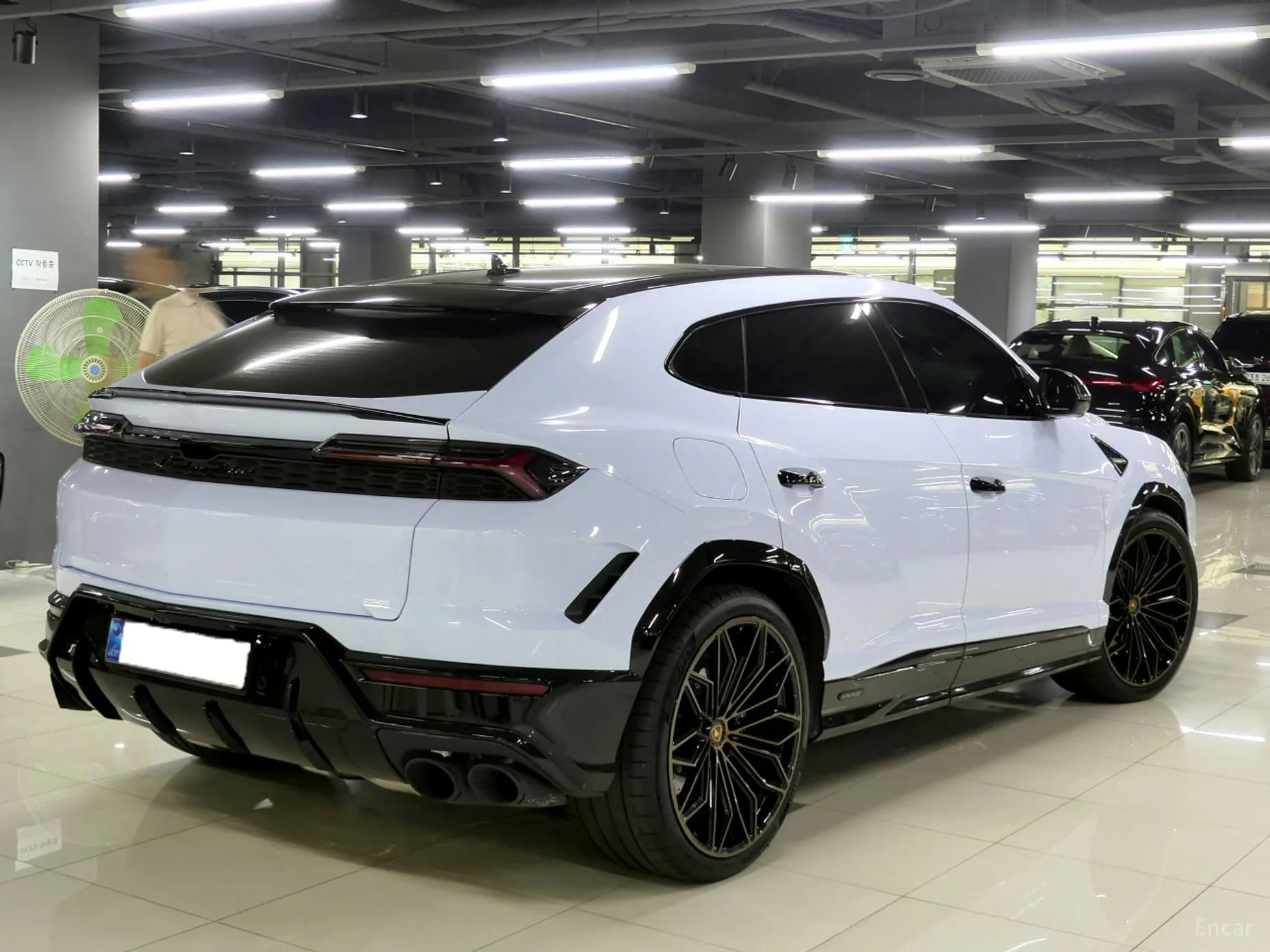 Urus