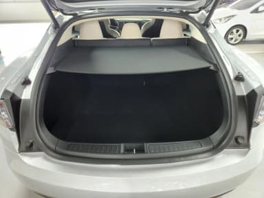 Model S