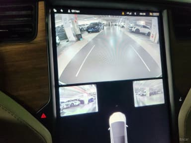 Model X