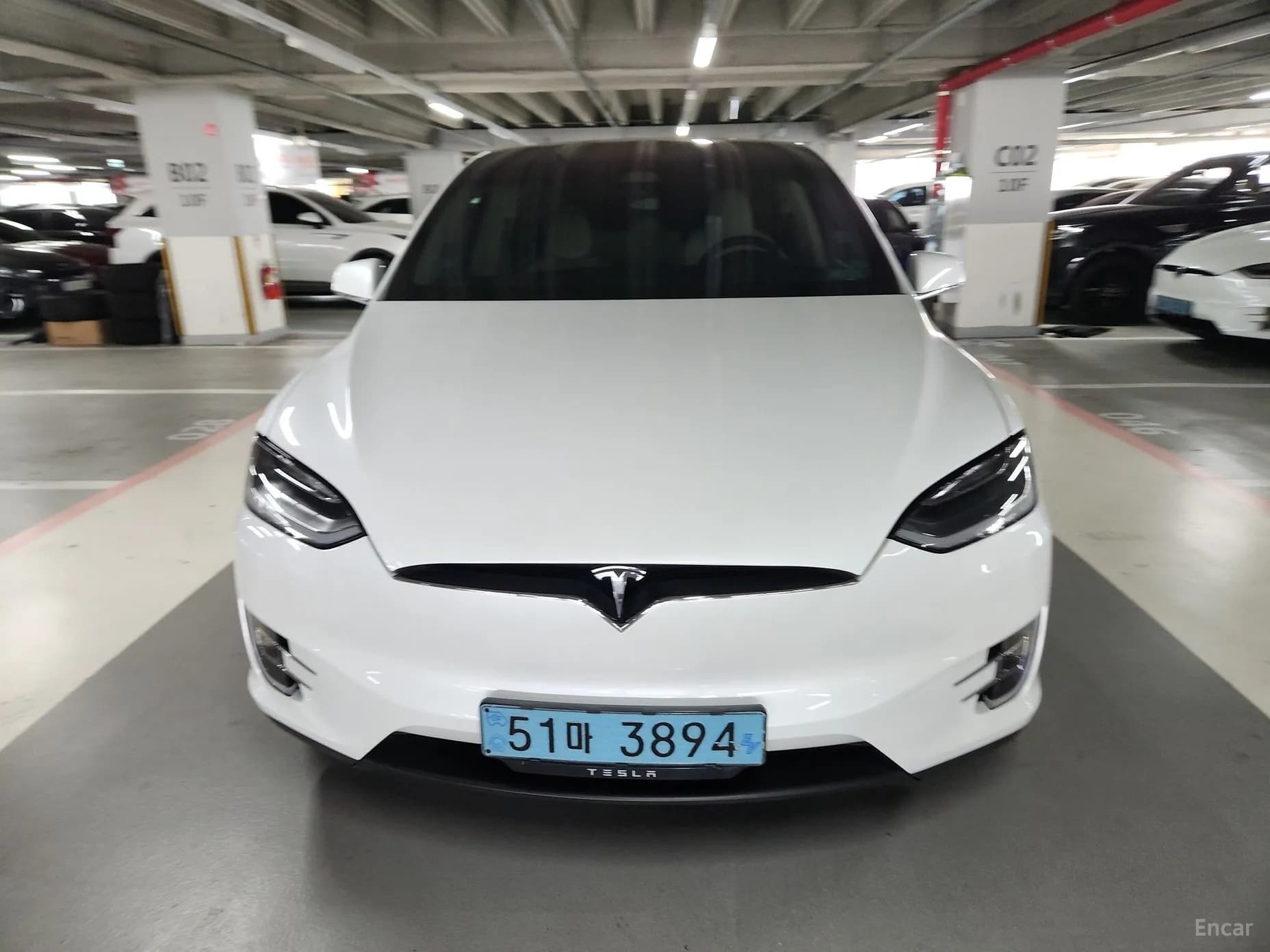 Model X