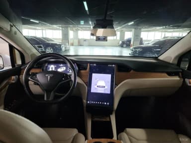 Model X