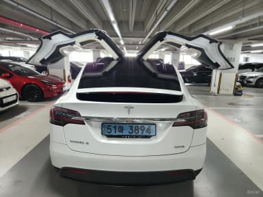 Model X