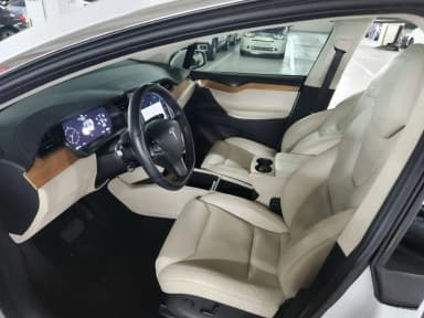 Model X