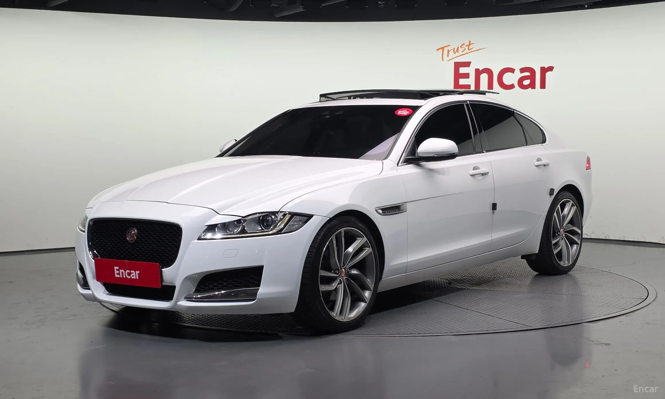 XF (x260)