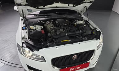 XF (x260)