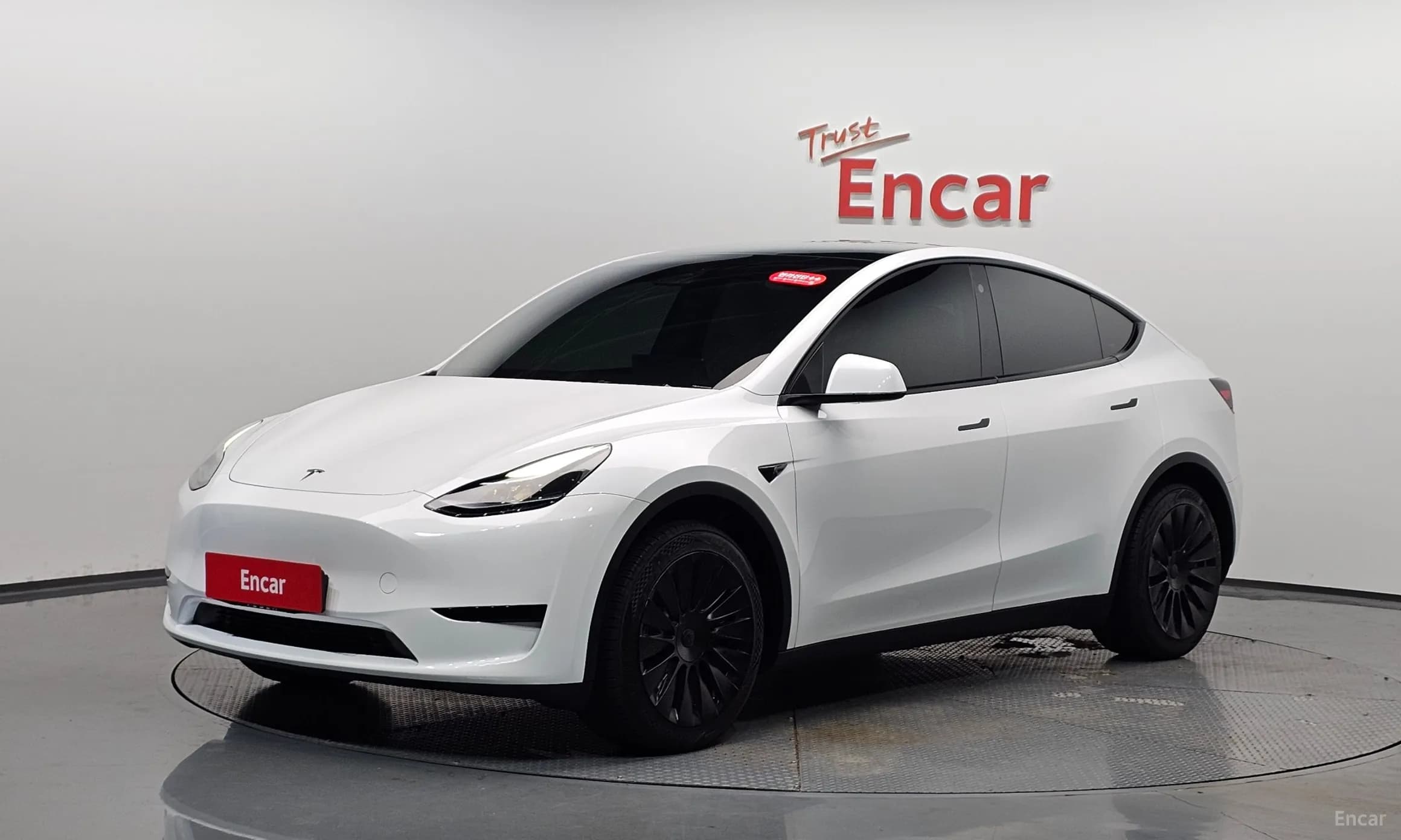 Model Y