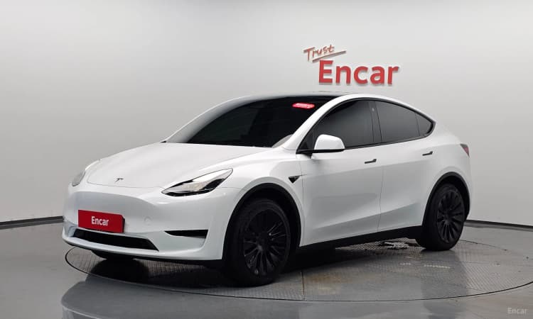 Model Y