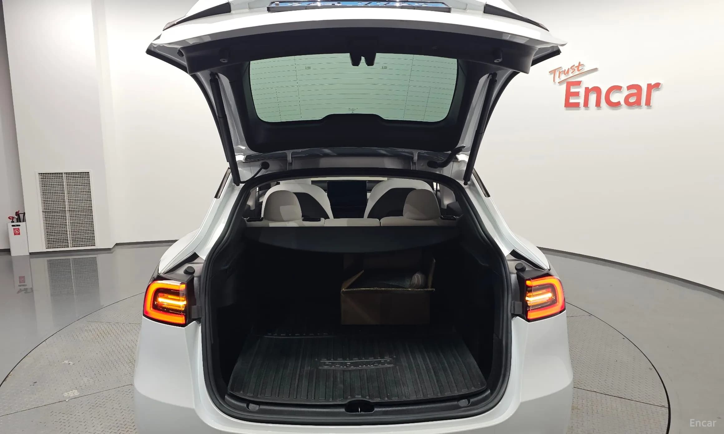 Model Y