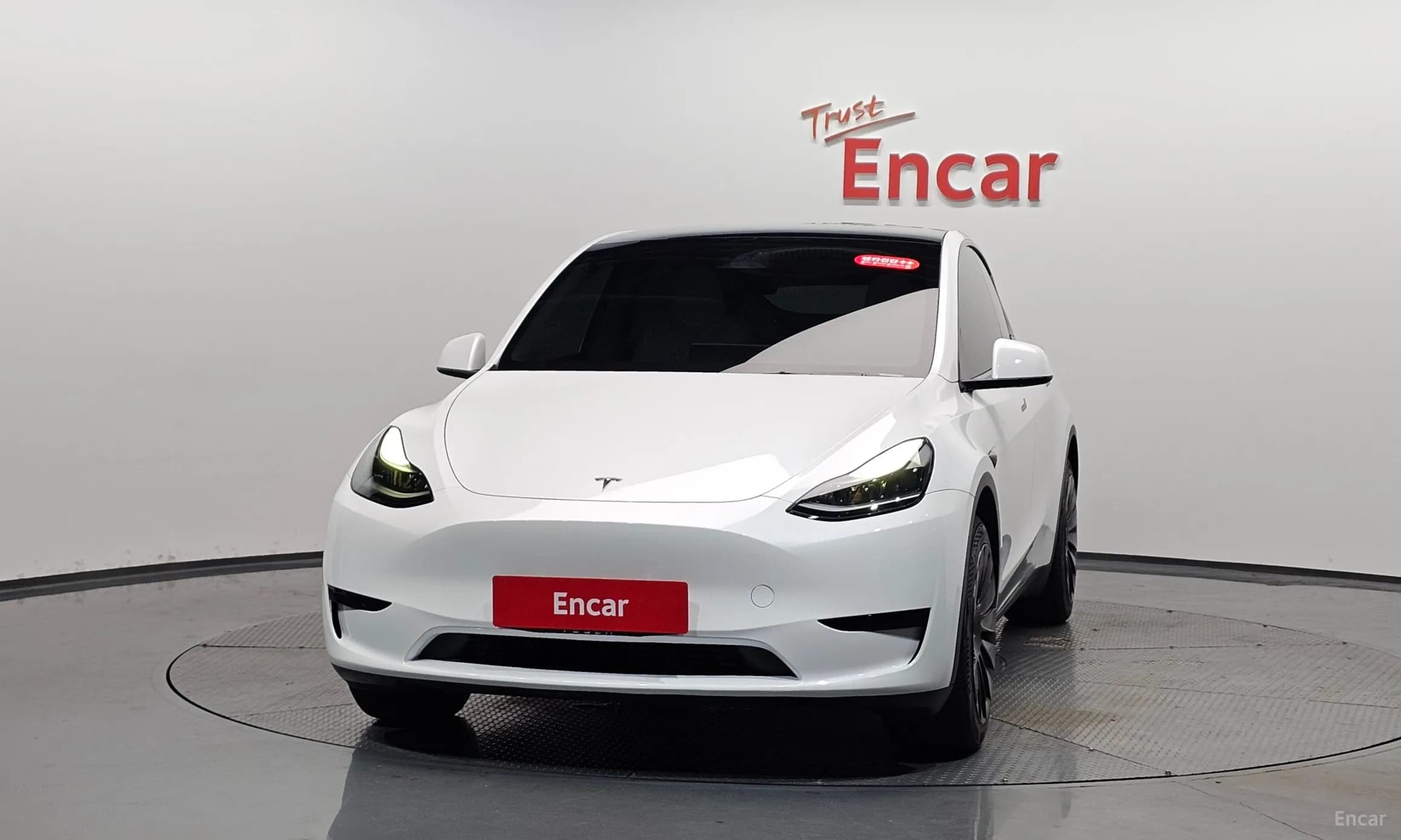 Model Y