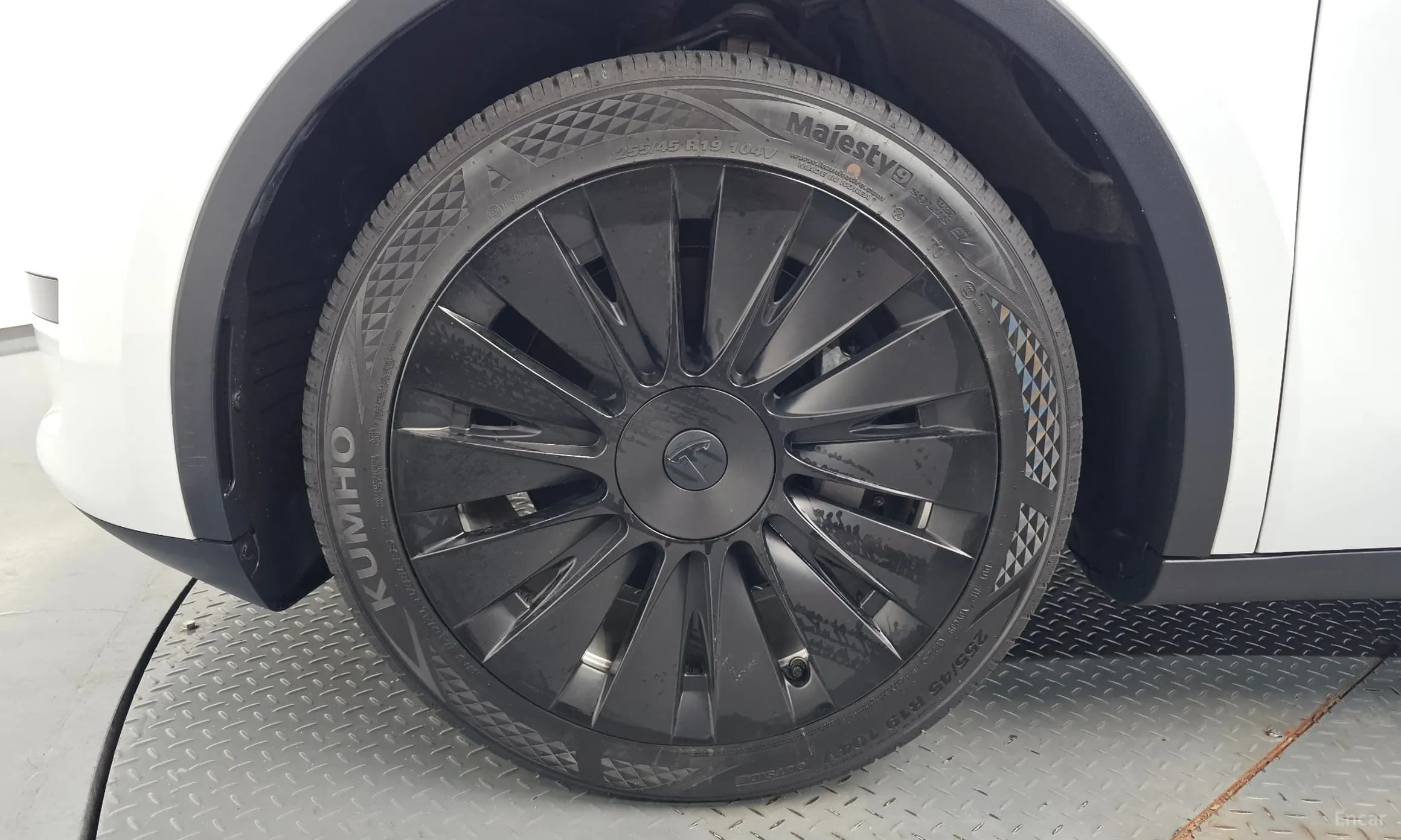 Model Y