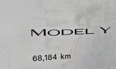 Model Y
