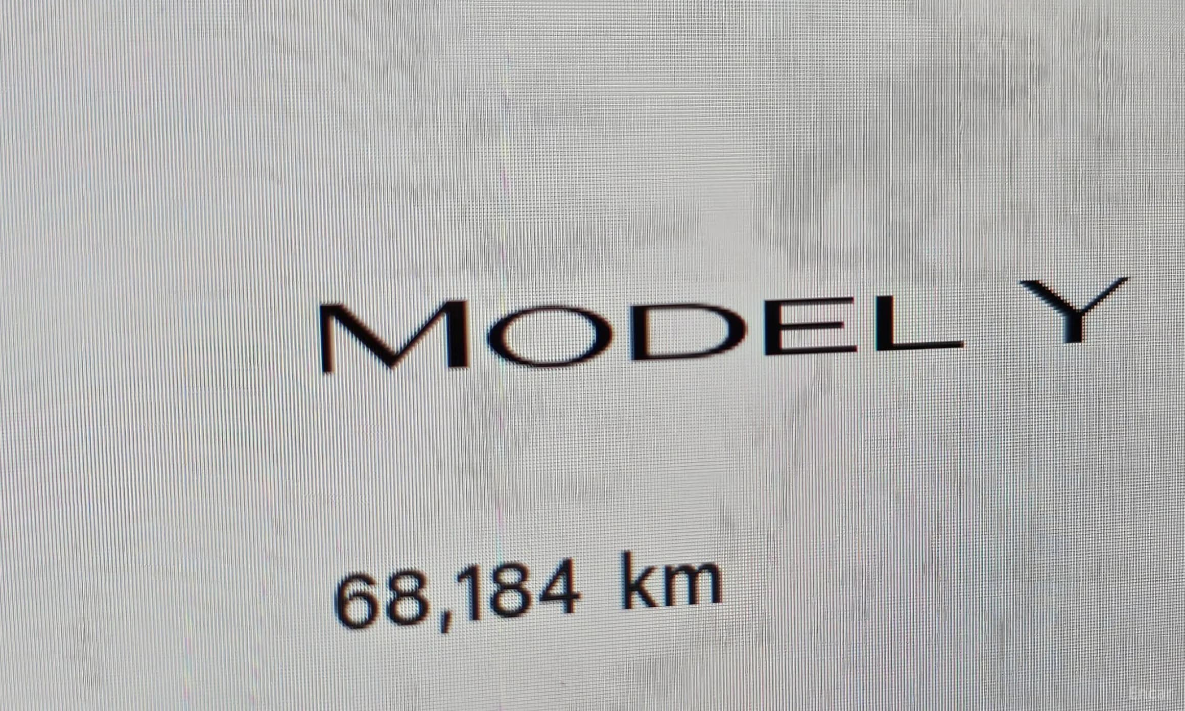 Model Y