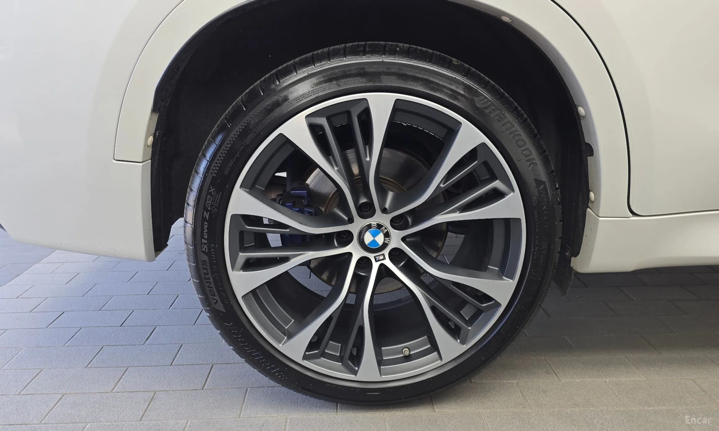 X6 (F16)