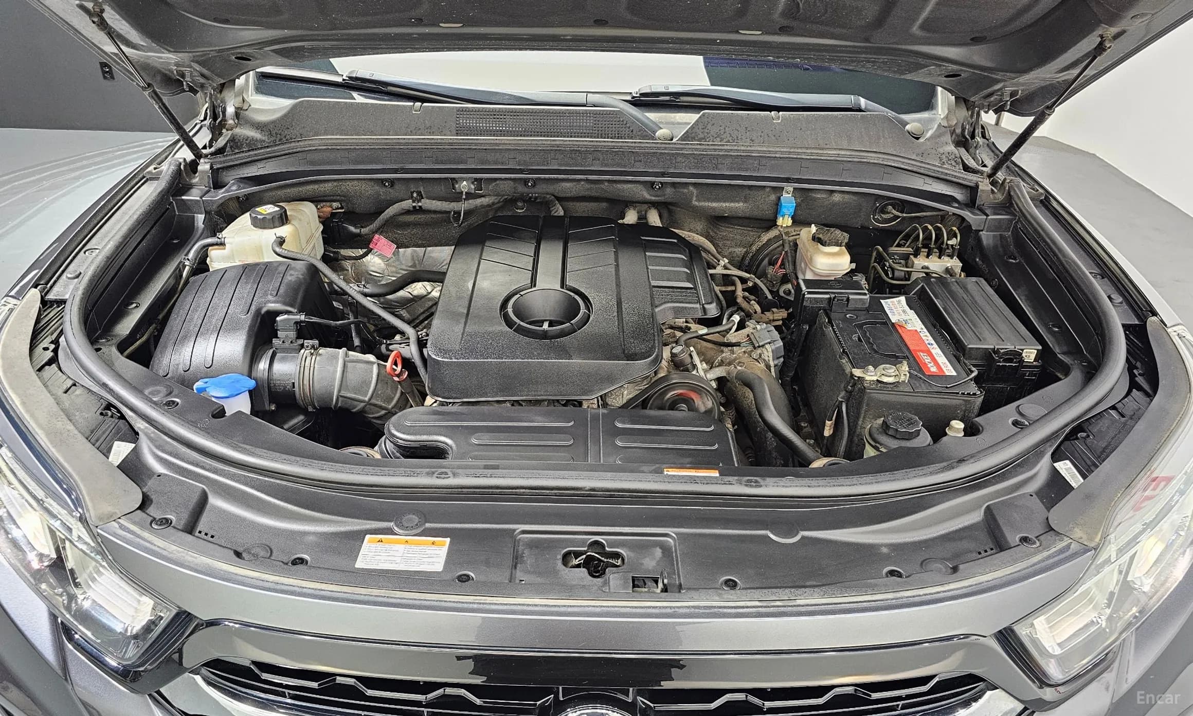 Rexton Sports