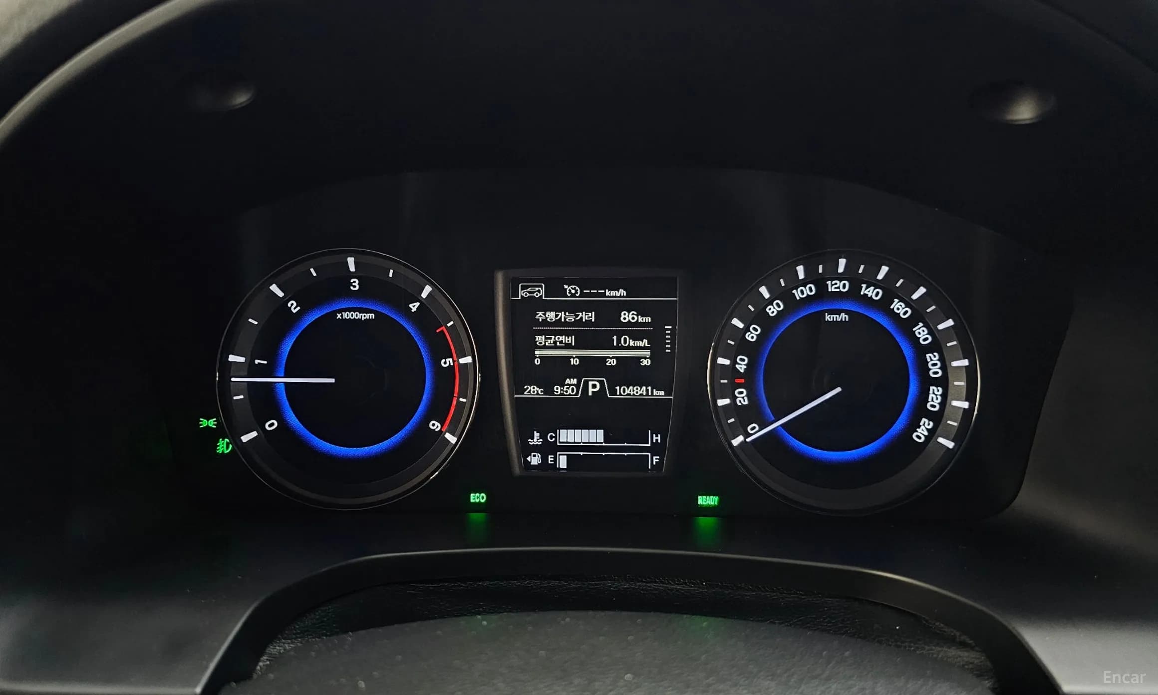 Rexton Sports