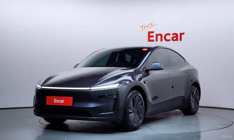 Model Y