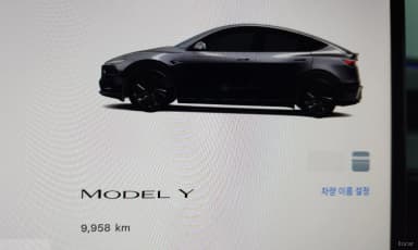 Model Y