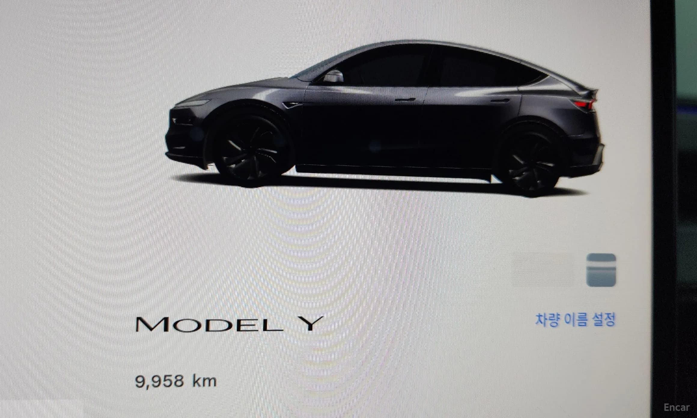 Model Y