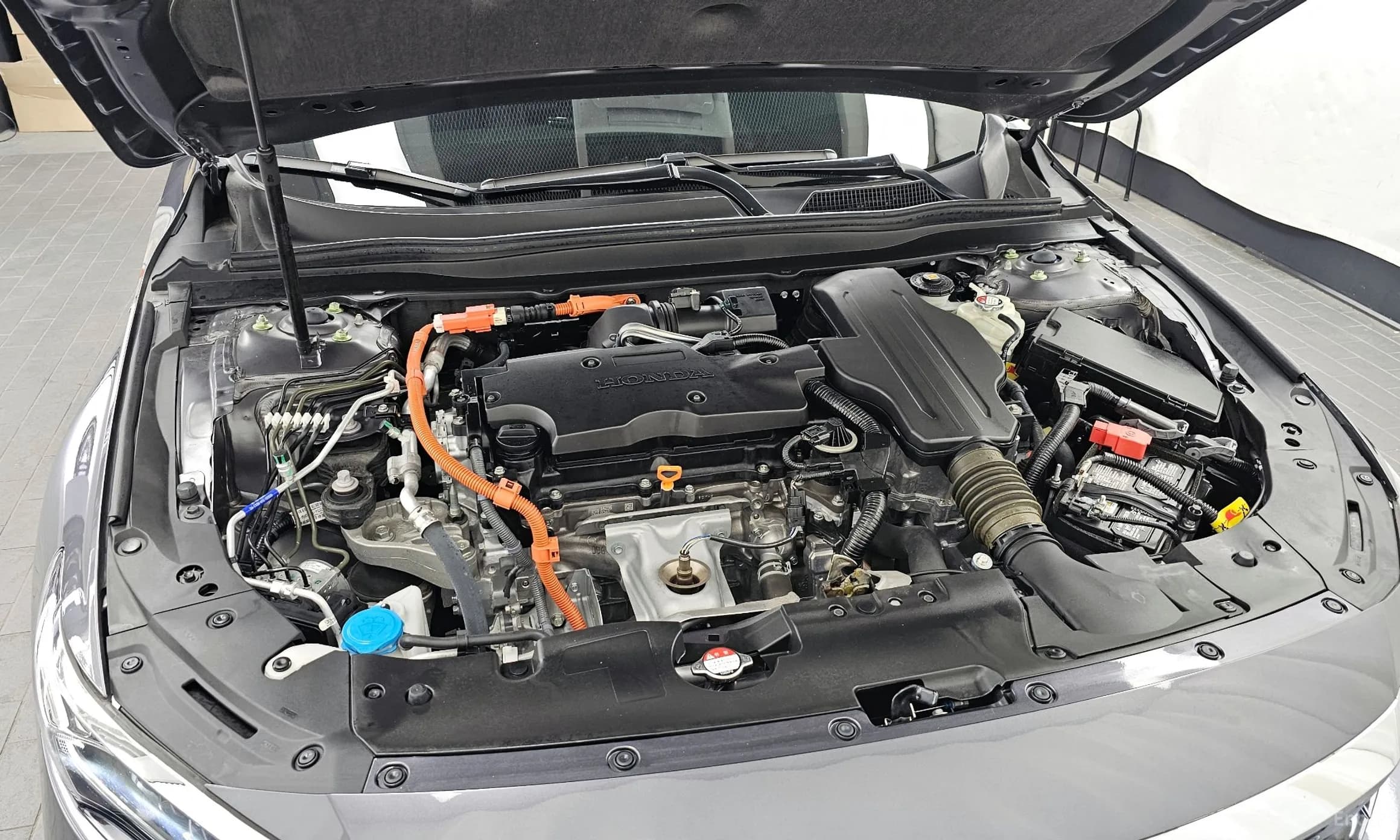 Accord 10th Generation