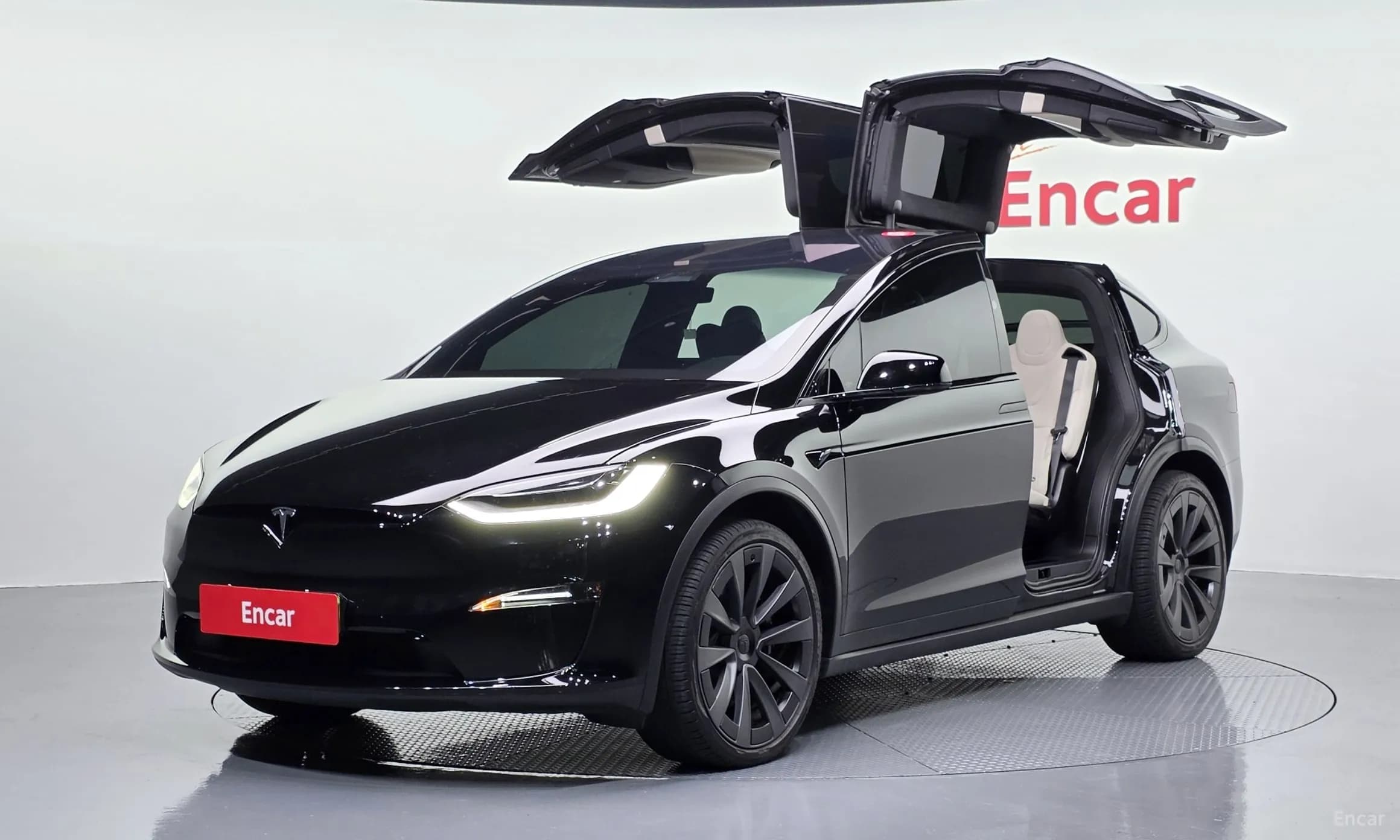Model X
