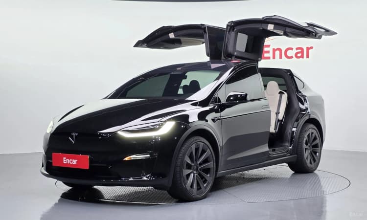 Model X