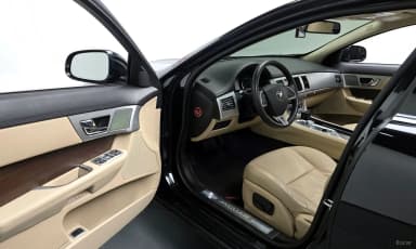 New XF
