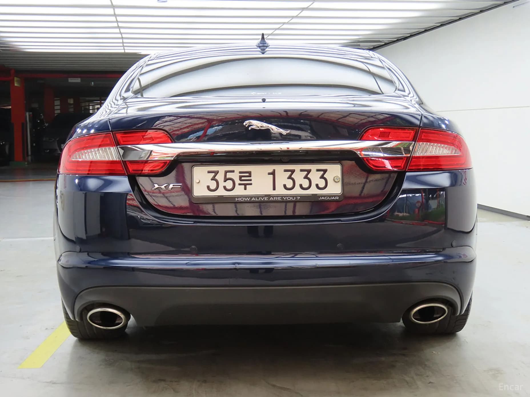 New XF