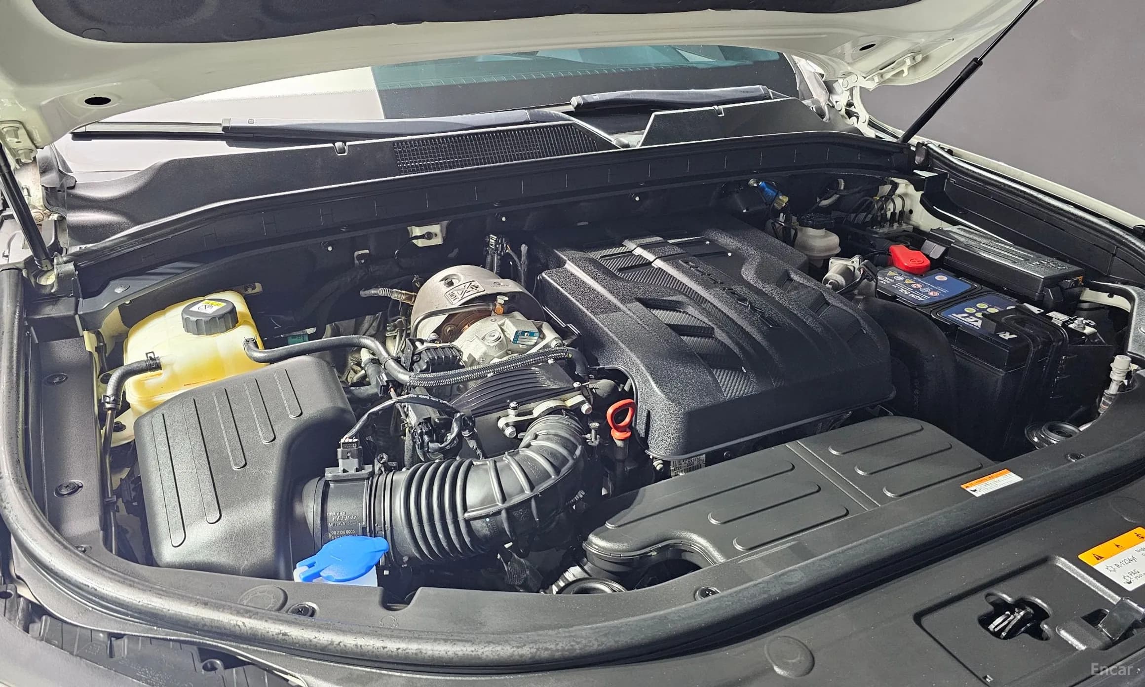 Rexton Sports