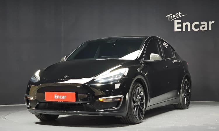 Model Y